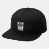 SMALL PALM SNAPBACK HAT