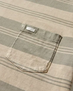 PTC STRIPE SHORT SLEEVE KNIT